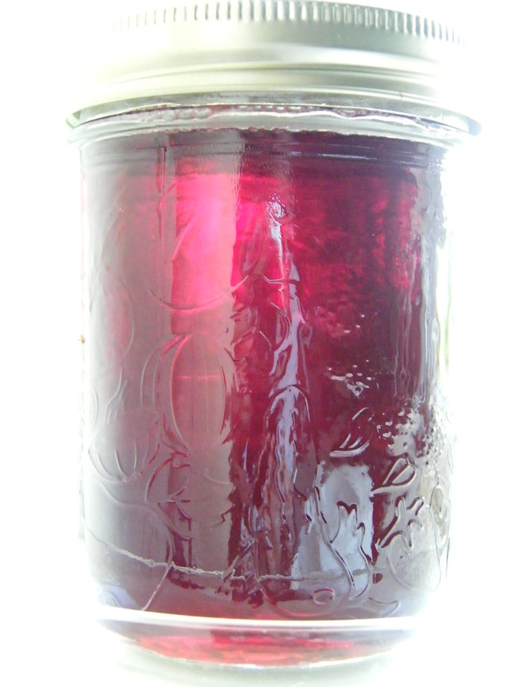 Red Currant Jelly Recipe Happiness Shifting Stitches